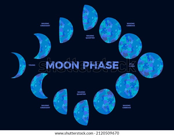 Moon\
phase. Textured surface of the moon. Lunar phases throughout the\
cycle. Crescent type design. Astronomical observation of the\
earth\'s satellite for a month. Vector\
illustration