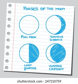 Moon phases