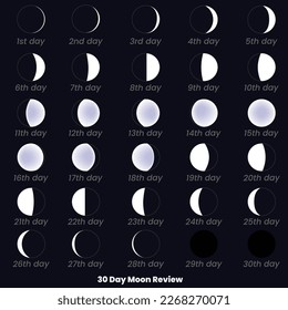 Moon phases. 30 Day Moon Review. Moon phases astronomy icon set, Vector Illustration. Isolated outline symbols. Dark navy blue background.