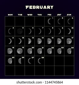 Moon phases calendar for 2019 with realistic moon. February. Vector EPS 10