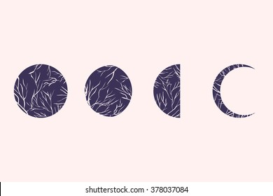 Moon phases with contrast white branches. Vector Illustration