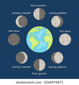 Moon Phases cycles with titles isolated illustration. Lunar calendar.