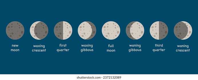 Moon Phases cycles with titles isolated illustration. Lunar calendar.