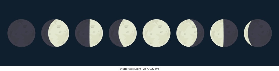 moon phases cycles vector illustration