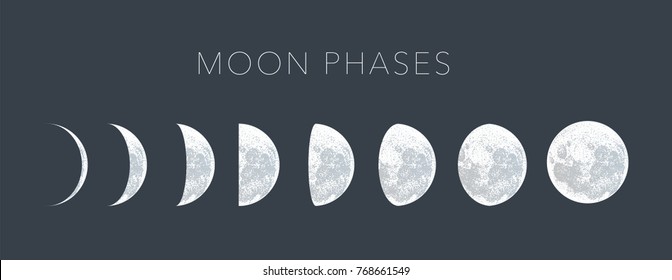 moon phases dot vector background
