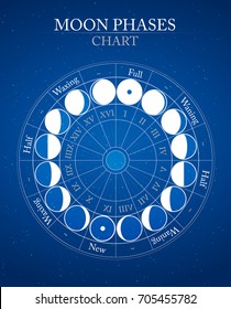 moon phases flat vector background