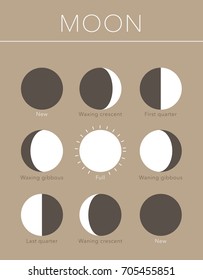 moon phases flat vector background