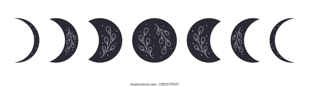Moon phases. Floral  moon clipart. Сelestial icon, silhouette. Vector illustration