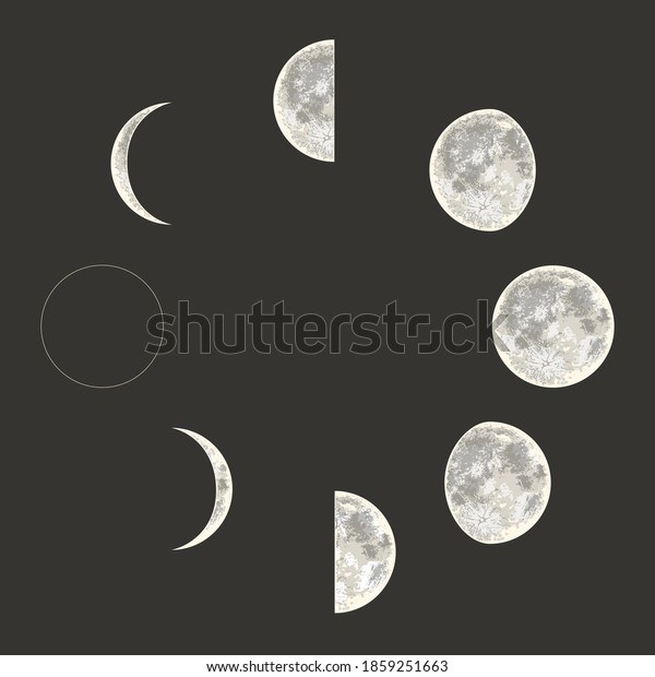 Moon phases. Full cycle. Realistic style.\
Vector illustration