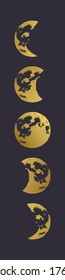 Moon phases in gradient fill. Vector illustration.