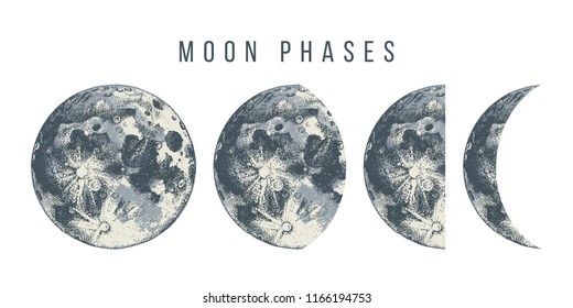 Moon phases. Hand drawn vector illustration