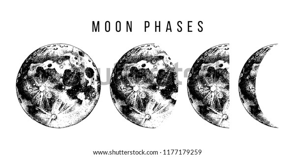 Moon Phases Hand Drawn Vector Illustration Stock Vector (Royalty Free ...