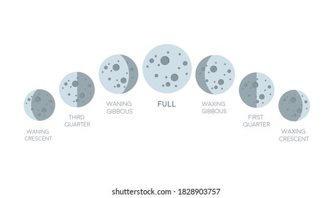 Moon phases icon in flat style isolated on white background. Astronomy icon. Vector stock