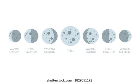 Moon phases icon in flat style isolated on white background. Astronomy icon. Vector stock