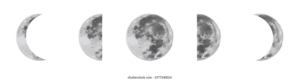 Moon phases icon on a white background. The astronomical cycle of the moon. Realistic moon