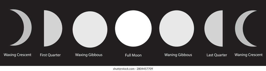 Moon Phases Icon Set. Lunar Cycle Vector Illustration Collection.