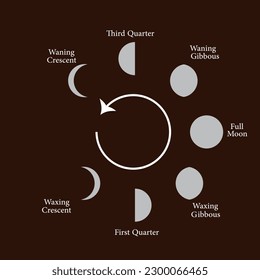 Moon  phases Icon Vector Image Illustration 