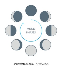 Moon phases icons. Astronomy lunar symbols isolated over white background. Whole cycle from new to full moon. Crescent and gibbous signs. Vector eps8 illustration.