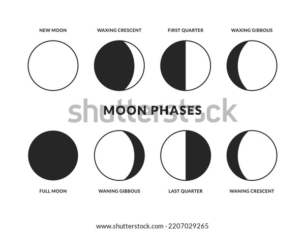 Moon Phases Icons Set Lunar Calendar Stock Vector (royalty Free 