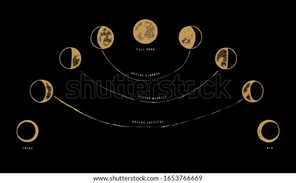 Moon phases illustration with inscriptions\
vintage occult vector\
illustration