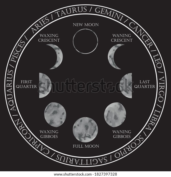 Moon Phases Illustrations Zodiac Signs Astrological Stock Vector Moon Phases Illustrations Zodiac Signs Astrological Stock Vector
