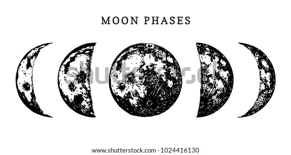 白い背景に月の相の画像 新月から満月までのサイクルの手描きのベクトルイラスト のベクター画像素材 ロイヤリティフリー