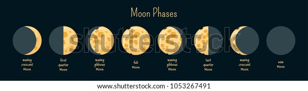 Moon phases infographics. Cheese moon.\
Cartoon style vector illustration.\

