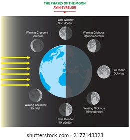 Moon phases lunar cycle shadow and earth globe vector illustration