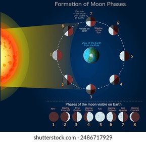 Moon phases, lunar stages formation. New, first, last quarter, full, waxing gibbous, secondary, crescent waning crescent. View earth from pole. Moves visible from earth. Dark vector illustration	