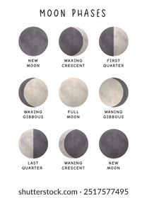 Moon Phases Movements: Realistic Vector Illustration