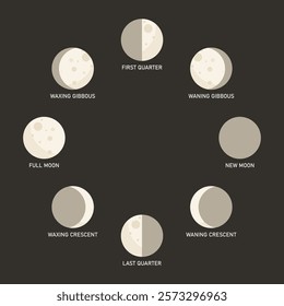 Moon phases with names vector illustration set. Lunar phases. Cycle from the full to new moon. Moon phase icon vector set.