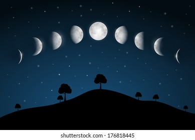 Moon Phases - Night Landscape with Trees