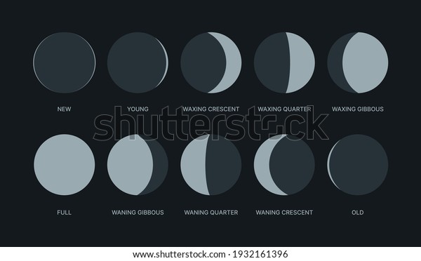 Moon\
phases. Night symbols for moon calendar circle round shapes logos\
waxing pack garish vector stylized forms\
isolated