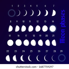 Fases lunares en un fondo oscuro