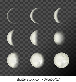 Moon Phases On A Transparent Background. Vector Illustration, EPS 10