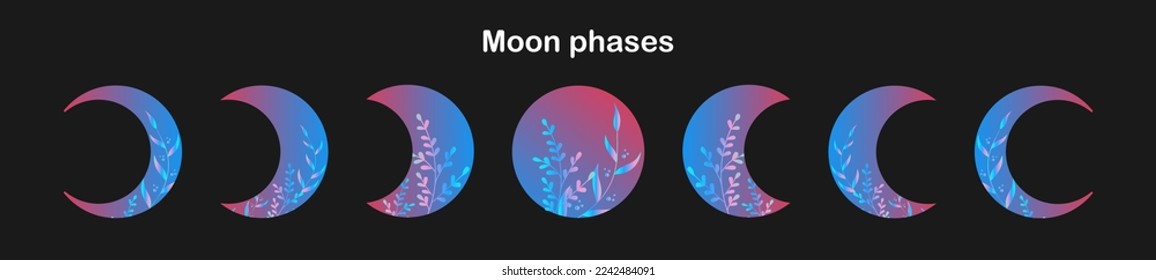 Moon phases. Pink blue tones with plants inside. 