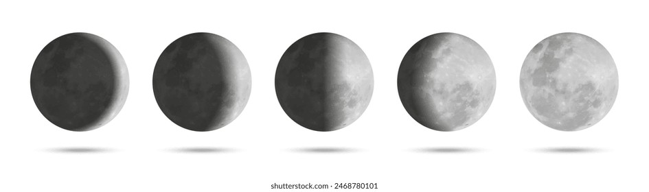 Moon phases. Realistic moon illustration. Realistic moon with shadow