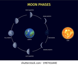  Fases de la luna conjunto infográfico realista con símbolos de subida y luna nueva ilustración vectorial