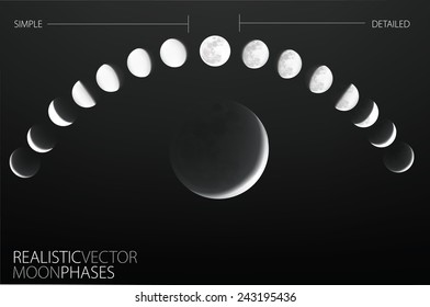 Moon phases , realistic and simple vector template