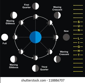 11,942 Moon phases earth Images, Stock Photos & Vectors | Shutterstock