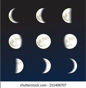 Moon phases vector