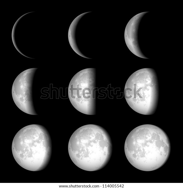 Moon Phases.\
Vector.