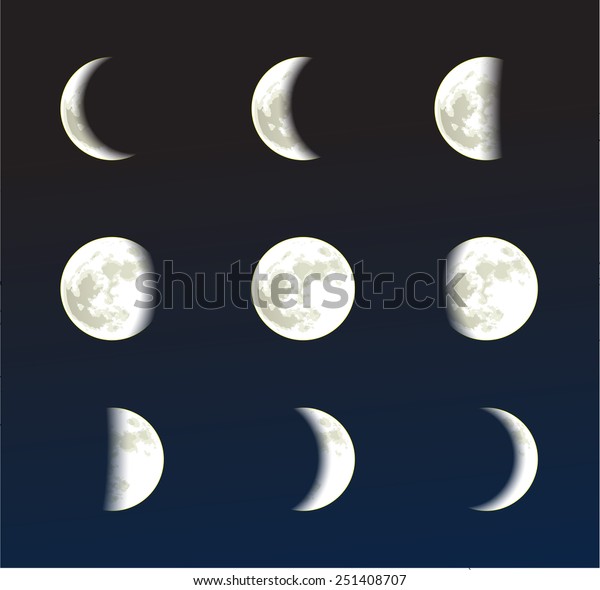 Moon phases\
vector