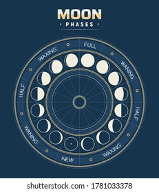 Moon phases, vector calendar of lunar cycles new, waning, half, full and waxing. Astronomy or astrology science, moon phases or stages inside of circle with separated segments. Earth satellite poster