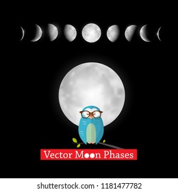 Moon Phases Vector Design with Owl on Black Background
