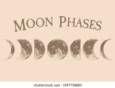 Moon phases vector full moon surface