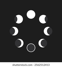 Moon phases vector icon. The whole cycle from new moon to full moon. Vector illustration