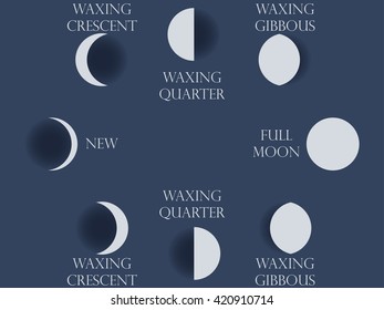 Moon phases. Vector illustration.