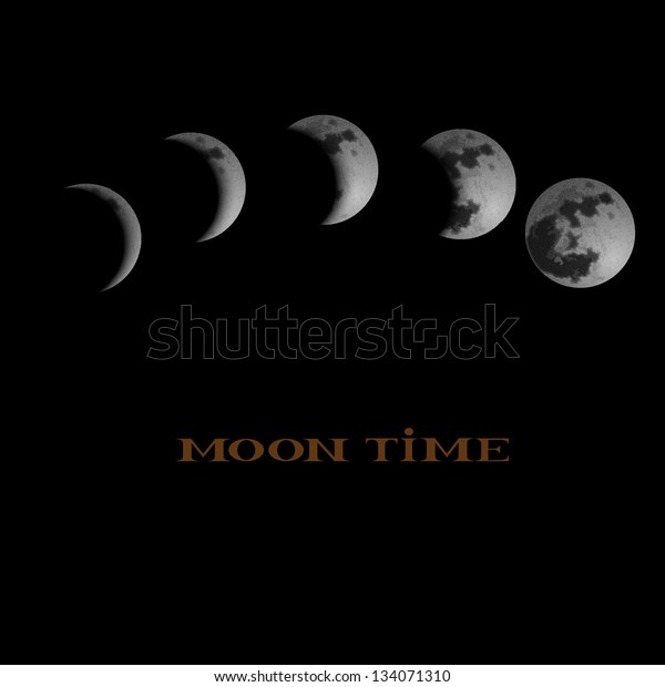 Moon Phases. Vector\
illustration