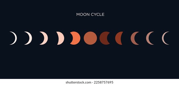 Moon phases. Vector Illustration in flat design. Colorful icons of whole astronomy cycle from new to full moon on dark blue background